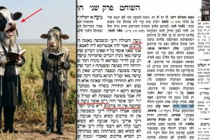 דף לח