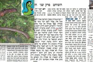דף מ