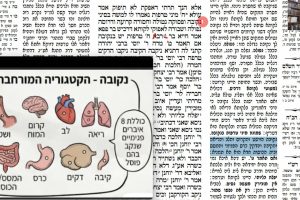 דף מג