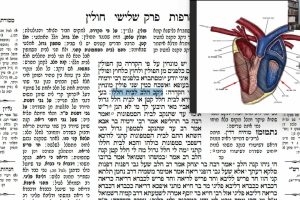 דף מה
