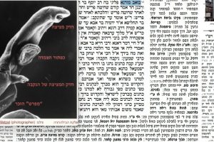 דף מט
