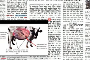 דף נ