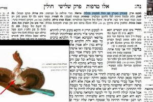דף נה