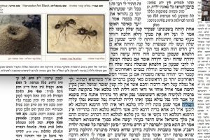 דף נז