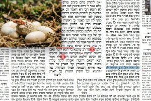 דף סד