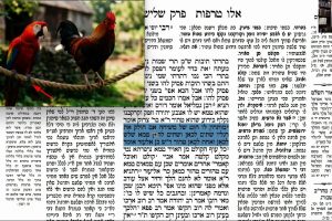 דף סה