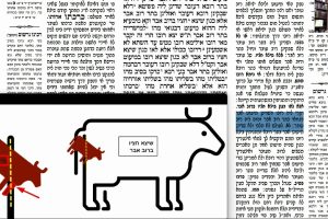 דף ע
