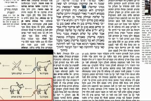 דף עב