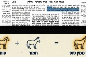 דף עט