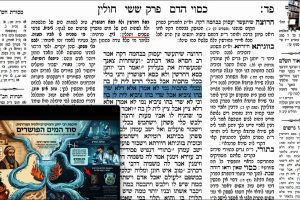 דף פד