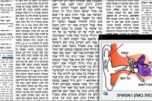 דף פט