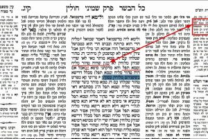 דף קיג