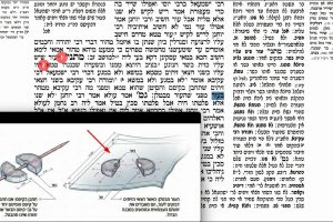דף קכד