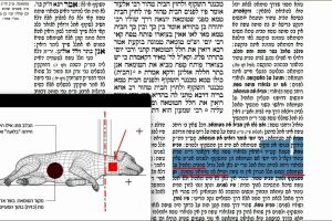 דף קכו