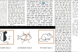 דף קכז