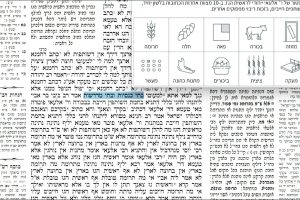 דף קלו