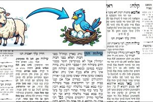 דף קלח