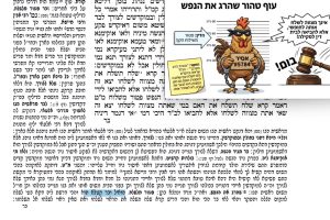 דף קלט