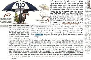 דף קמ